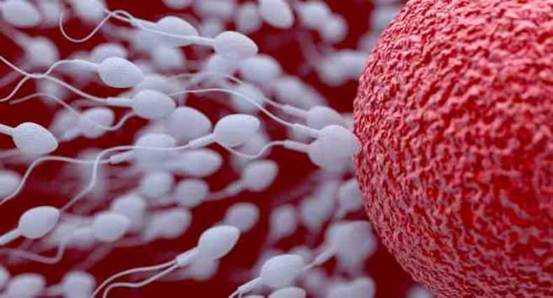6 surprising facts about sperms and male fertility that you SHOULD know