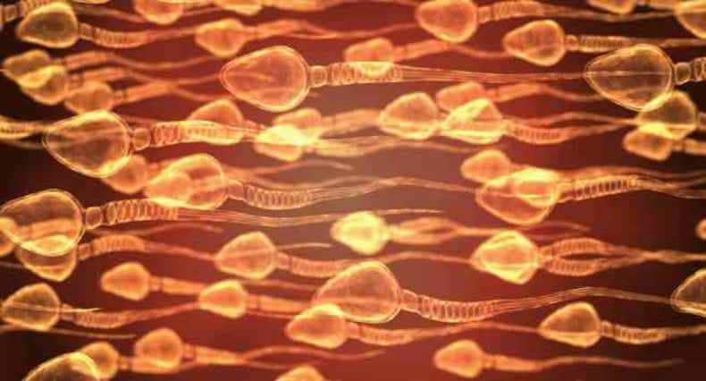 6 surprising facts about sperms and male fertility that you SHOULD know