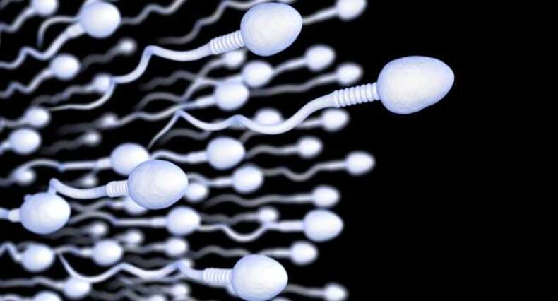 मेल फर्टिलिटी और स्पर्म के बारे में 6 अद्भुत दिलचस्प बातें