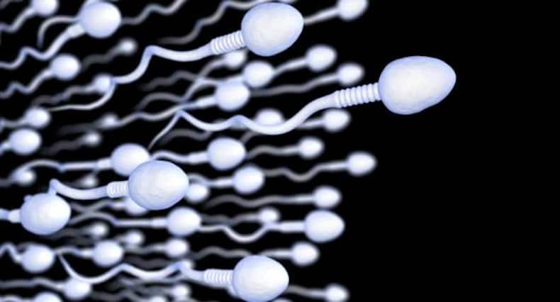 6 surprising facts about sperms and male fertility that you SHOULD know