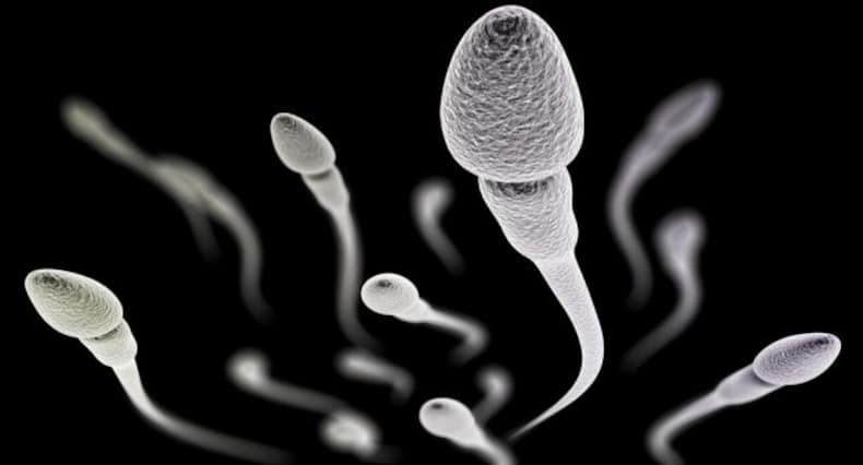 6 surprising facts about sperms and male fertility that you SHOULD know
