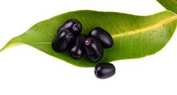 कैंसर सहित इन 6 बीमारियों से बचाता है जामुन!