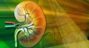 An organ donor and the Delhi police give two kidney failure patients a new life