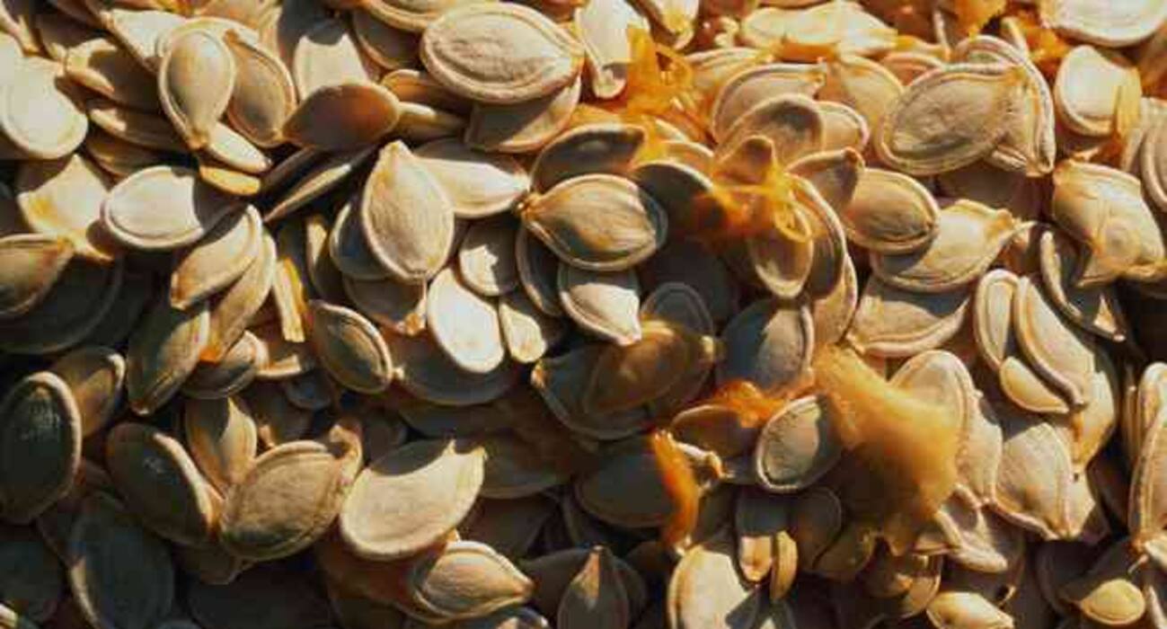 Top sources of zinc to boost your immune system