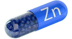 Does your diet lack zinc? You could suffer from digestive disorders