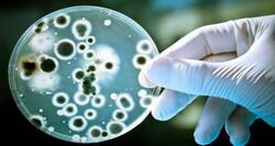 World's smallest data recorder built from bacteria