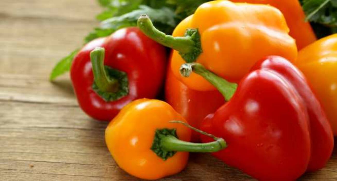 Monsoon diet: 6 types of food you must eat in the rainy season