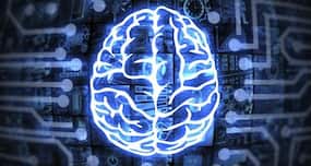 People with large brain size respond better to PTSD treatment