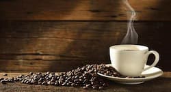 Ditch your coffee only to try its healthier version -- green coffee