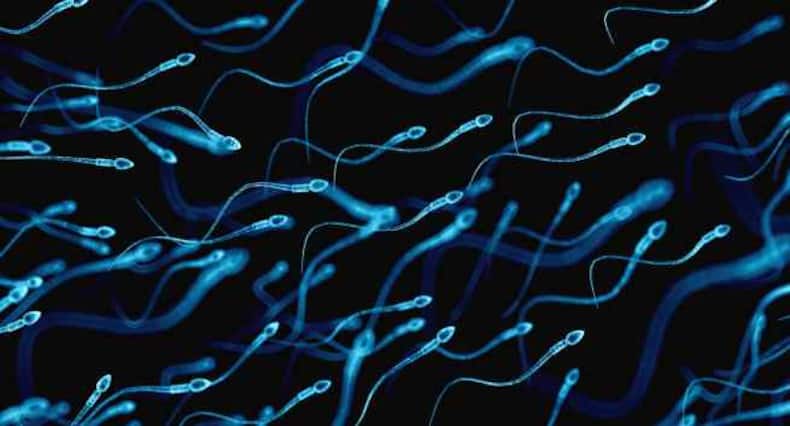6 surprising facts about sperms and male fertility that you SHOULD know