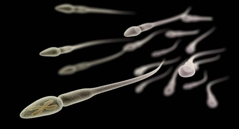 मेल फर्टिलिटी और स्पर्म के बारे में 6 अद्भुत दिलचस्प बातें