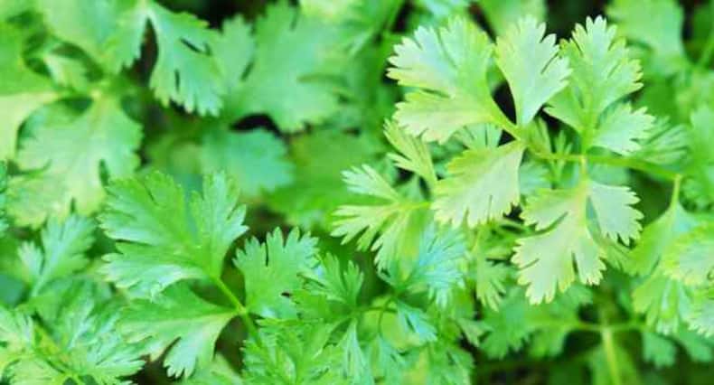 5 heart-friendly Indian spices you must include in your diet