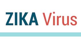 Study says US more likely to face a major risk of Zika virus outbreak in summer Study says US more likely to face a major risk of Zika virus outbreak in summer