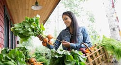 7 tips to eat organic on a budget