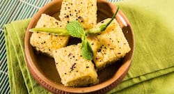 Protein and iron rich soya khaman dhokla