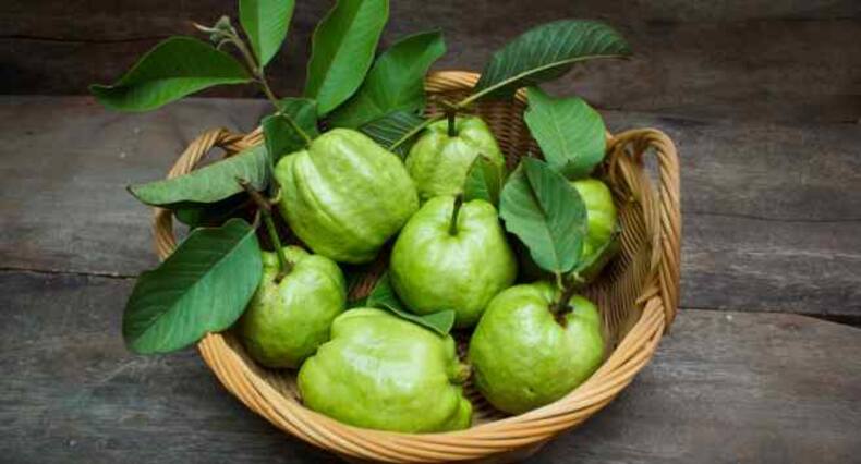 7 reasons you should never throw away guava leaves