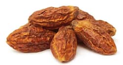 कब्ज से छुटकारा पाने का आयुर्वेदिक उपचार है हरड़