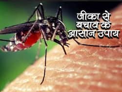 Zika Virus Prevention Tips in hindi : जीका वायरस से बचने के लिए अभी से शुरू कर दें एक्सपर्ट के बताएं ये 8 टिप्स, बीमार होने से बचेंगे