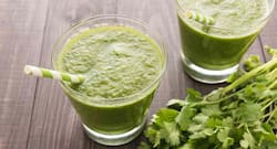 Weight loss drink--Mint and coriander smoothie
