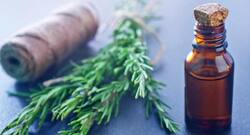 Acne troubling you? Try rosemary essential oil for acne-free skin