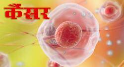 ये 25 रोजमर्रा के चीजों से बढ़ सकता है कैंसर होने का खतरा