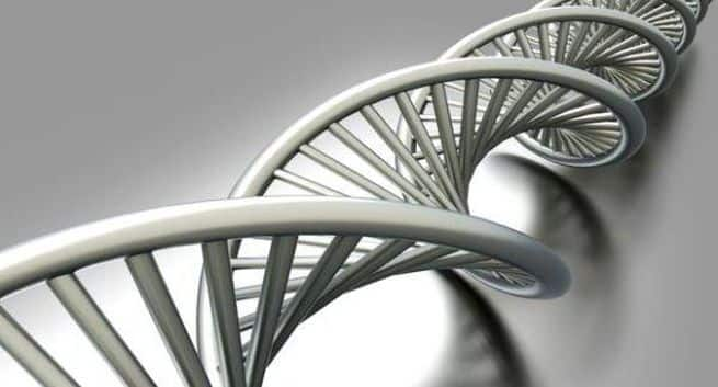 Researchers find the gene responsible for metabolic disorders and sleep deprivation 