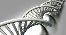 Researchers find the gene responsible for metabolic disorders and sleep deprivation