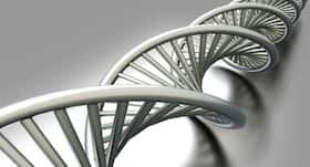 This rare gene may hold secret to protect humans against diabetes and provide longer, healthy life