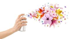 Do you use air fresheners at home? Read this!
