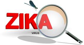 WHO tells South-east Asian countries to strengthen surveillance against Zika