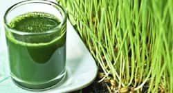 Wheat grass juice -- the perfect remedy for period pain
