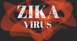 Everything you need to know about the Zika virus