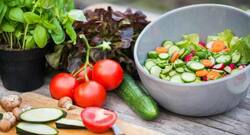 5 delicious cucumber recipes to help you beat the summer heat