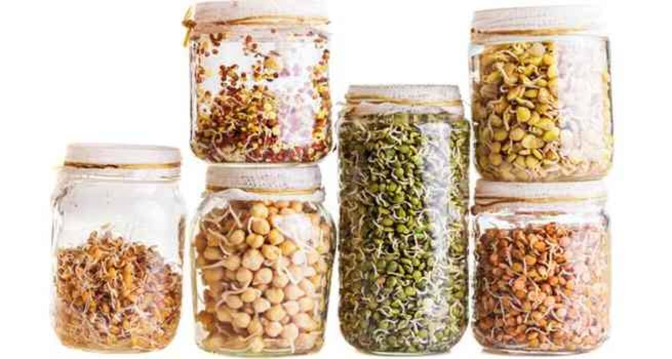 7 foods to prevent grey hair and reduce hair loss