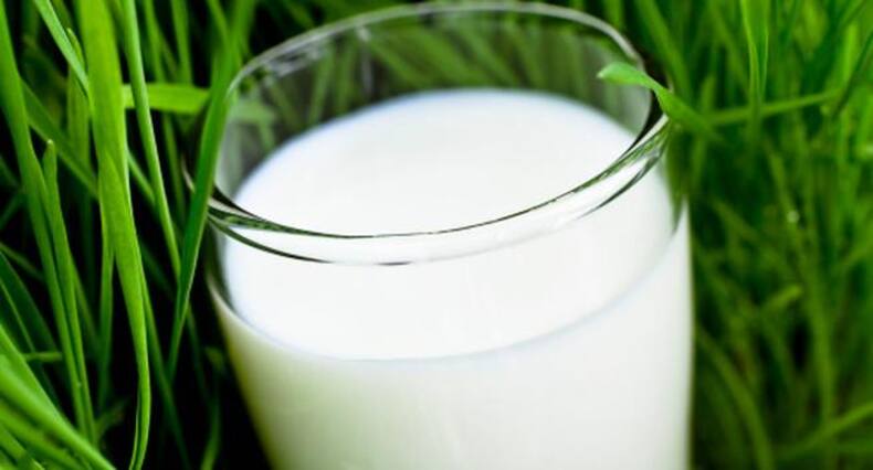 5 foods that can be dangerous during pregnancy