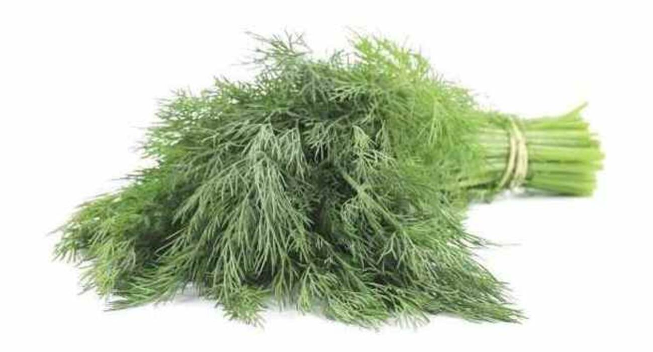 5 leafy veggies that help women fight brain damage, menstrual pain and more