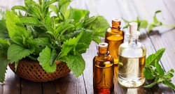 Fight hair loss and promote hair growth with peppermint oil