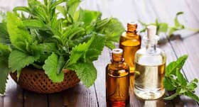 Fight hair loss and promote hair growth with peppermint oil