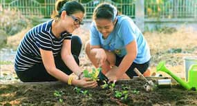 5 ways gardening makes you healthy! 5 ways gardening makes you healthy!