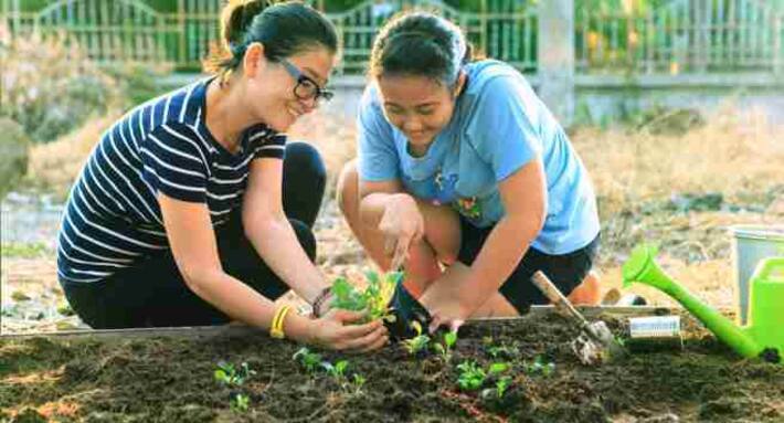 Gardening, a powerful weapon in war against malaria