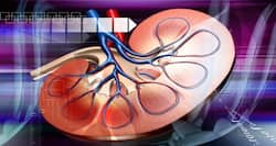 17 in every 100 Indians suffer from some kind of kidney disease