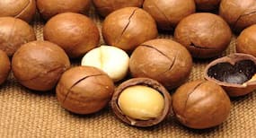 These health benefits of macadamia nuts will impress you