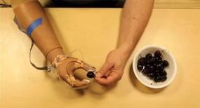 Malleable, self-healing and fully recyclable 