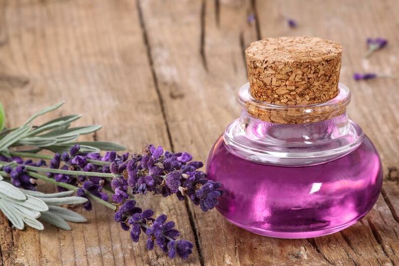 4 essential oils that help you fight insomnia