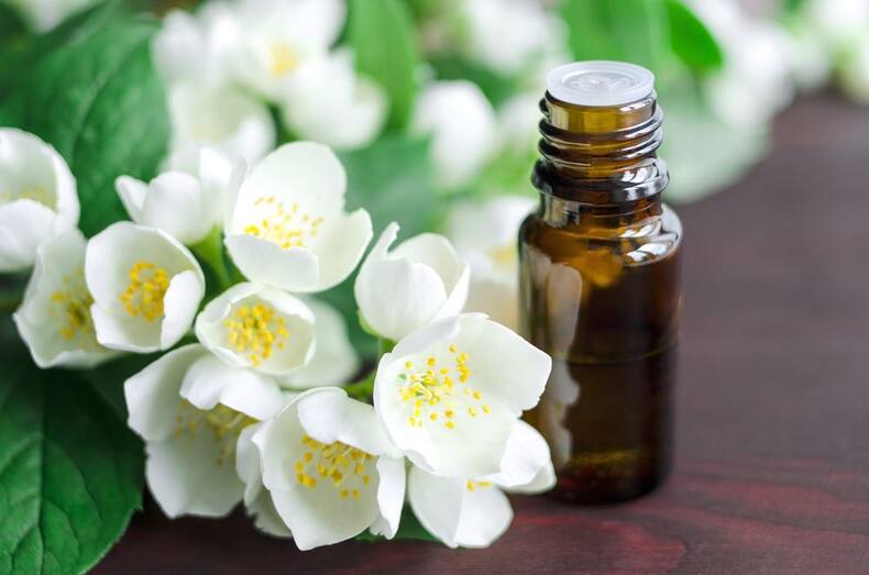 4 essential oils that help you fight insomnia
