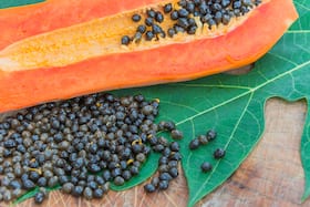 Does your child have intestinal worms? This papaya seeds and honey remedy will help