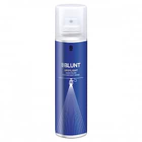 Product Review: BBlunt Spotlight Hair Polish