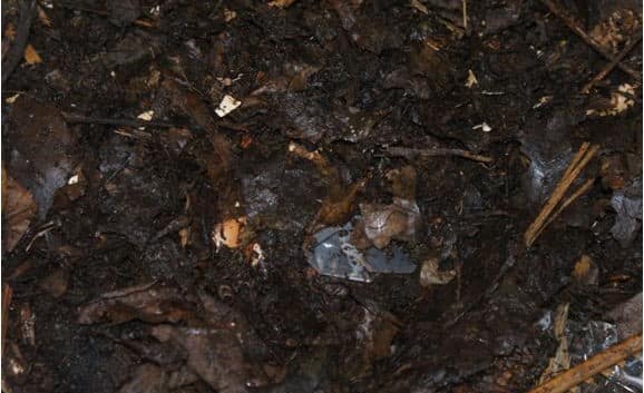 Composting