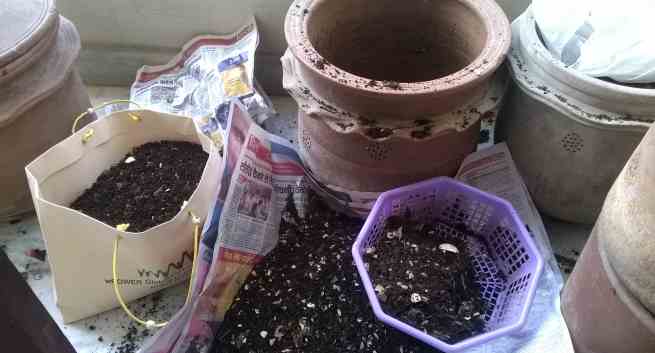 Composting process
