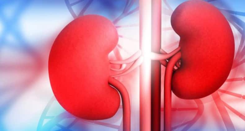 Disturbed sleep, UTI, kidney stones +4 problems of enlarged prostate every man should know